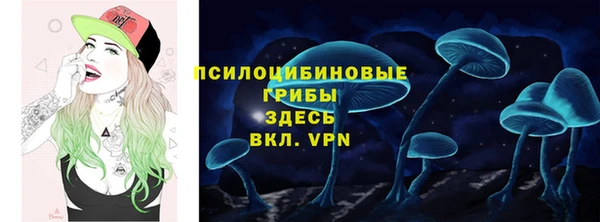винт Алзамай
