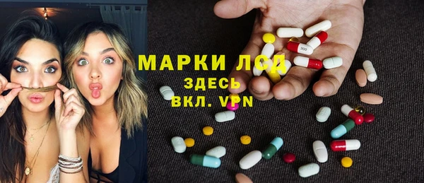 винт Алзамай