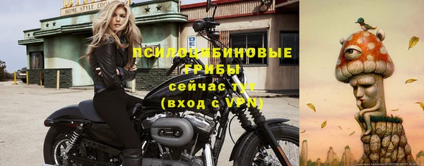 крисы Алексеевка