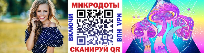 Галлюциногенные грибы прущие грибы  закладка  Пикалёво 